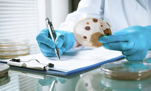Food and Drug Lab Tech Testing for Contamination Risk